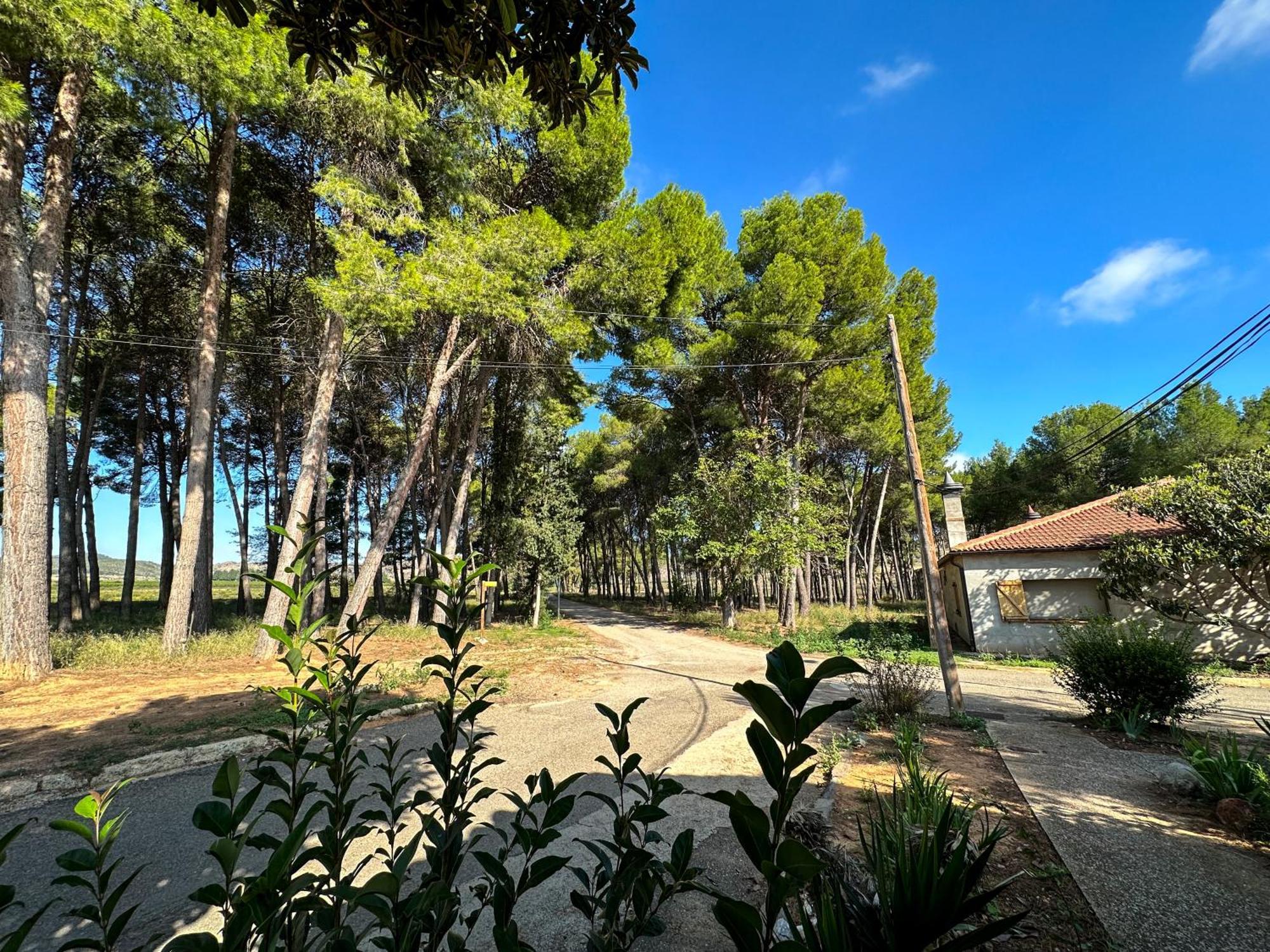 Casa Rural Los Pinos Valmuel Exteriör bild